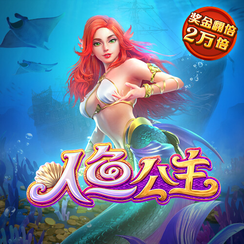 55世纪平台登录